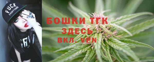 альфа пвп Елизово