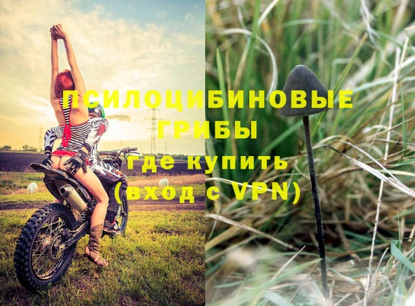 альфа пвп Елизово