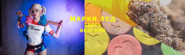 дурь Ельня