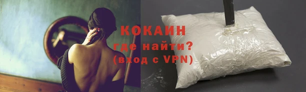 альфа пвп Елизово