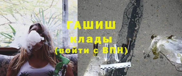 дурь Ельня