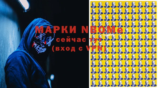 дурь Ельня