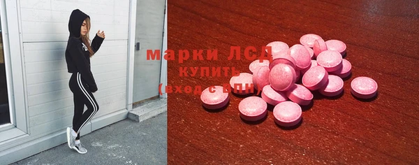 дурь Ельня