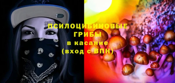 дурь Ельня